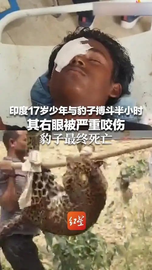 印度少年徒手单杀豹子？电竞圈狂刷“17岁操作封神”